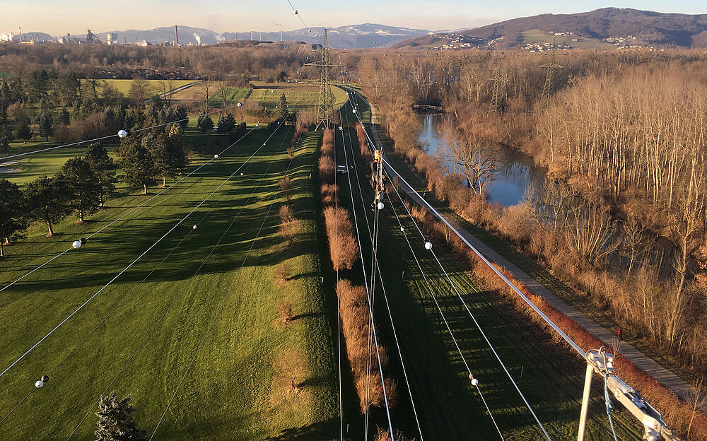 Vogelwarnkugel VWK 300 im Augebiet Vogelwarnkugel VWK 300 im Augebiet